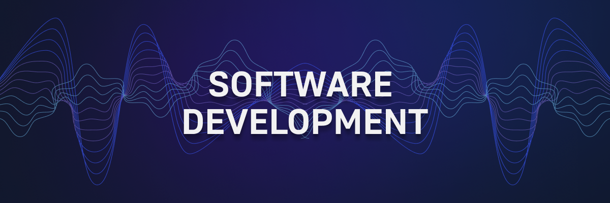 Why Investing in Software Development is Crucial